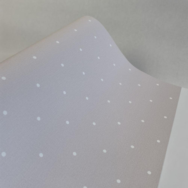 Andrea Rossi Spectrum Box 54454-19