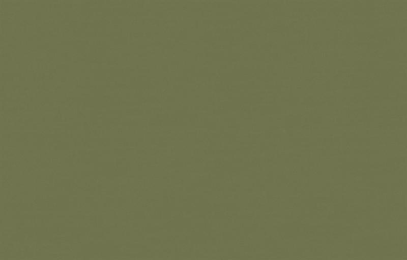 Loymina Origins ALS8 005_1