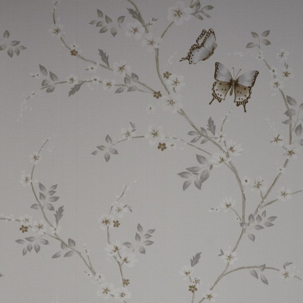 Andrea Rossi Spectrum Box 54460-1