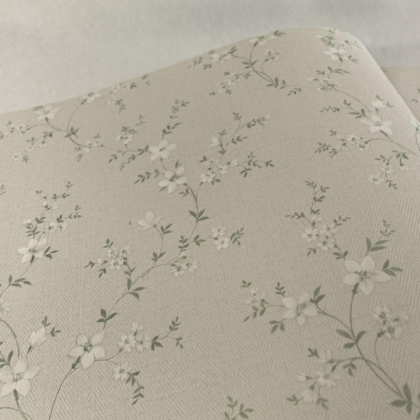 Alessandro Allori Bruni RBN 1001-1