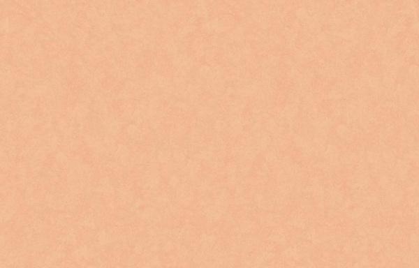 Loymina Shade SD3 003_3