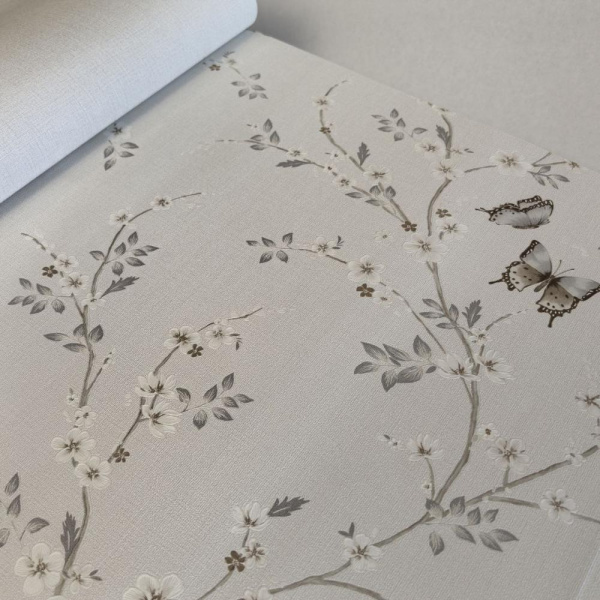 Andrea Rossi Spectrum Box 54460-1