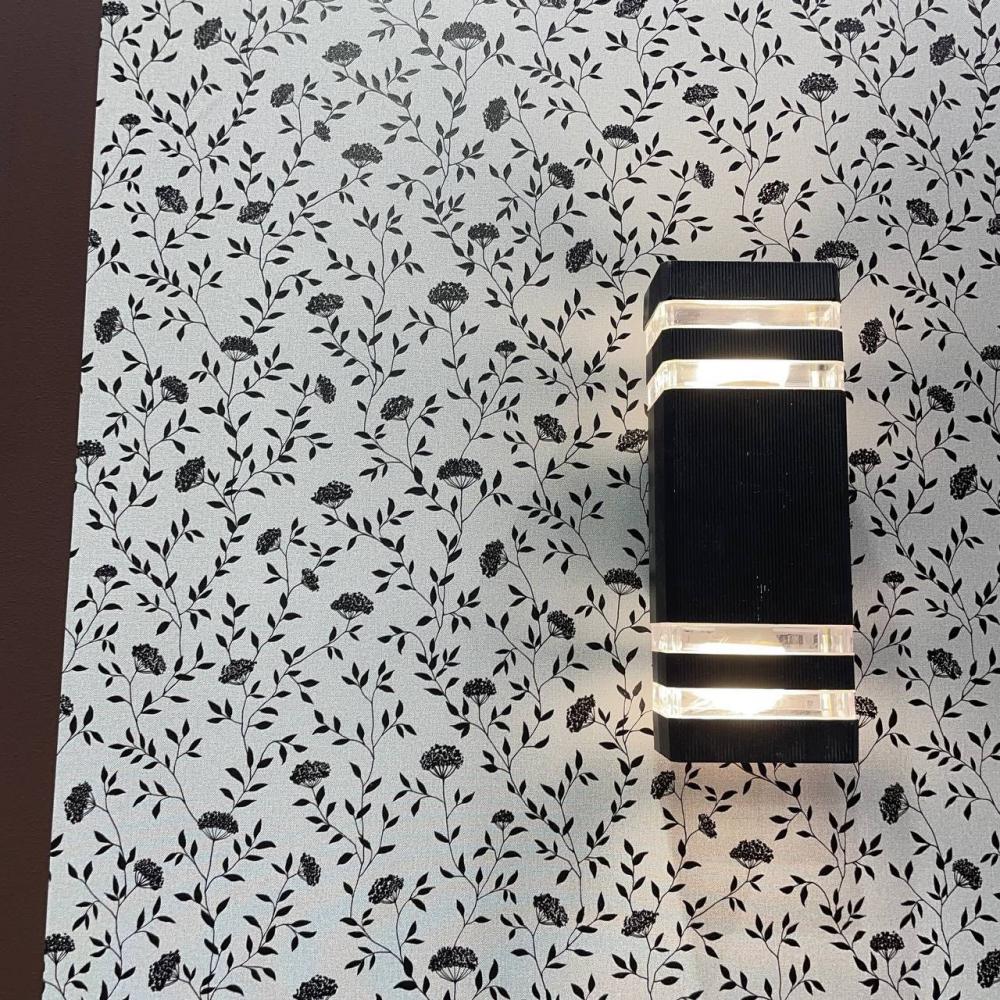 Andrea Rossi Spectrum Box 54456-12 Andrea Rossi Spectrum Box 54456-12