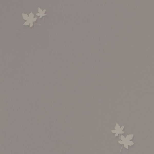 Andrea Rossi Spectrum Pro 54384-6