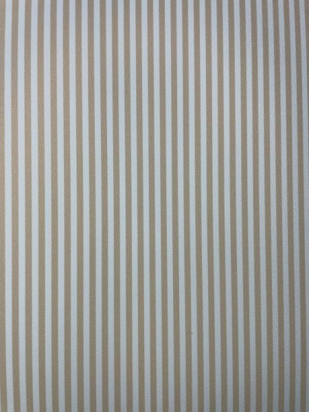 Andrea Rossi Spectrum Max 54365-3