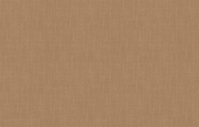 Loymina Shade SD2 004_2