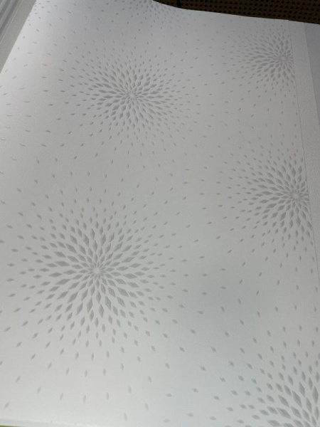 Andrea Rossi Spectrum Max 54358-1