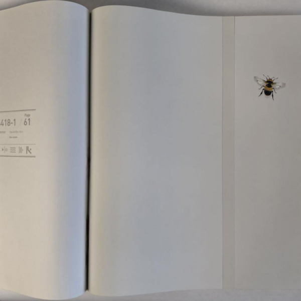 Andrea Rossi Cavolli 54418-2