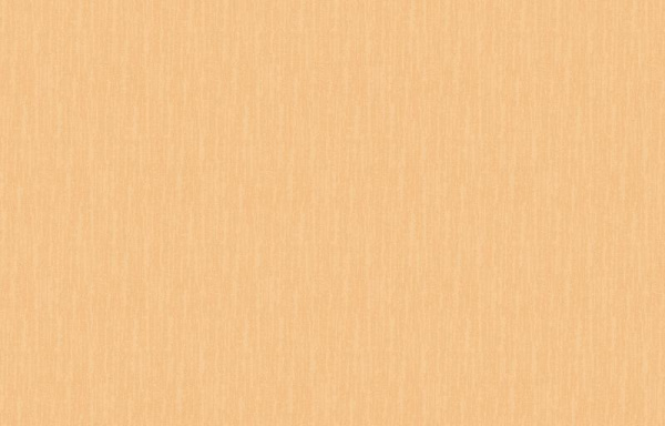 Loymina Shade SD2 003_1