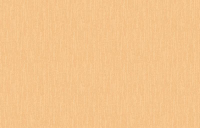 Loymina Shade SD2 003_1