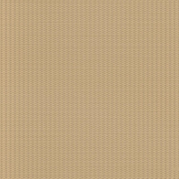 Zambaiti Parati Lamborghini Z 12835