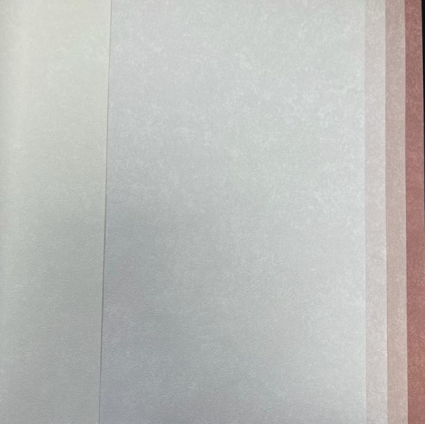 Обои Bernardo Bartalucci Concept 106 84279-22