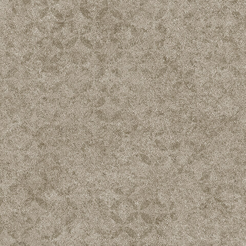 Andrea Rossi Arlequin 54297-7