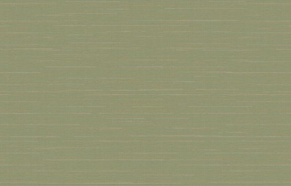 Loymina Amazonia Ins9 005_1