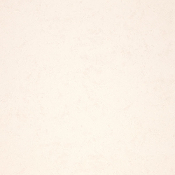 Fipar Modelli Magici R 11581