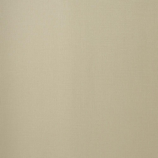 Andrea Rossi Palmaria 54461-7