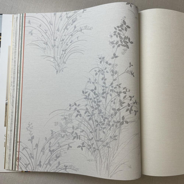 Andrea Rossi Palmaria 54468-1