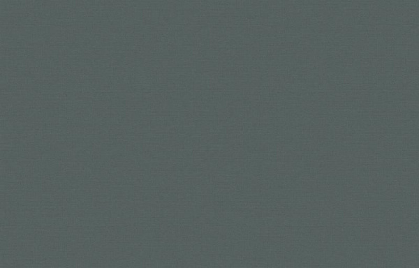 Loymina Equator QTR8 005_1