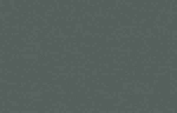 Loymina Equator QTR8 005_1