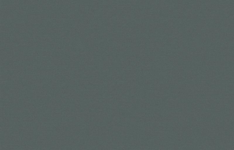 Loymina Equator QTR8 005_1