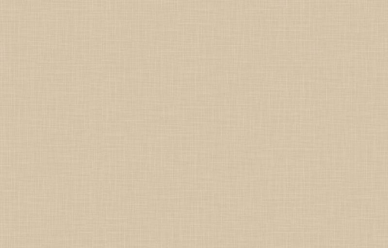 Loymina Origins ALS11 012