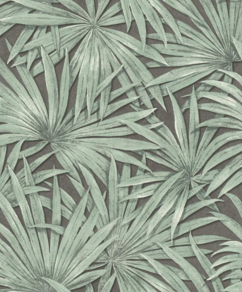 Rasch Allegretto 542561