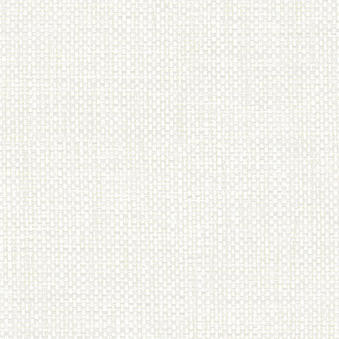 Andrea Rossi Gallinara 54317-2