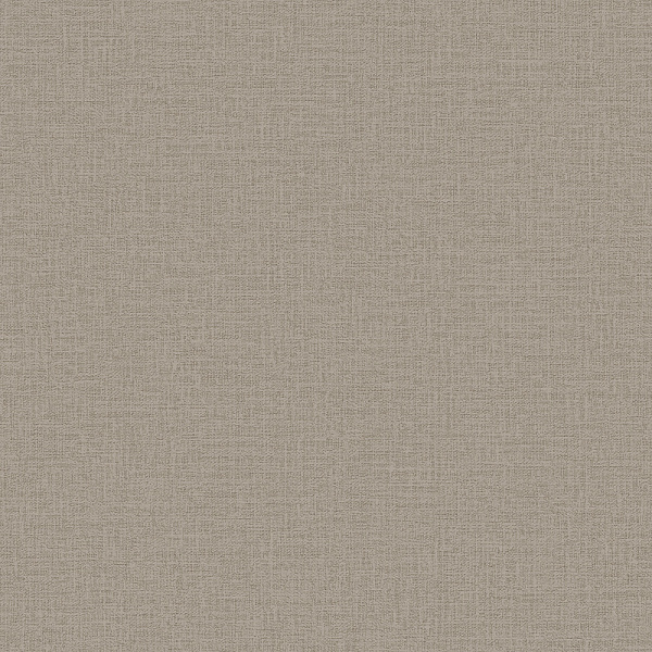 Alessandro Allori Giorgio RGI 1008-9