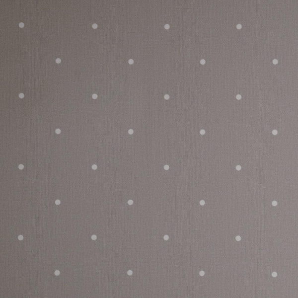 Andrea Rossi Spectrum Box 54454-5