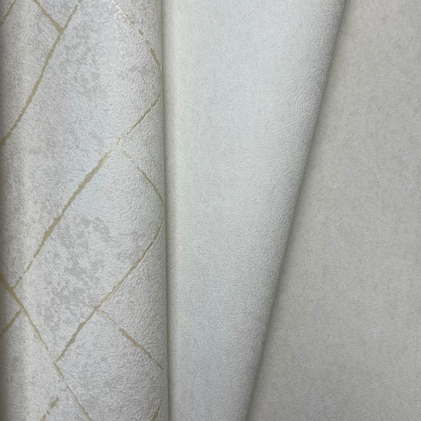 Andrea Rossi Cavolli 54423-1