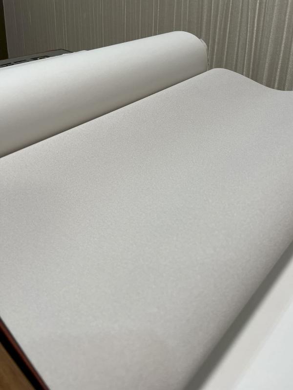 Andrea Rossi Gallinara 54308-3 Andrea Rossi Gallinara 54308-3