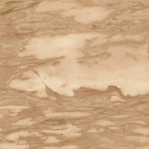 Emiliana Parati Roberto Cavalli RC 21029