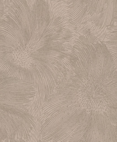 Rasch Allegretto 509243