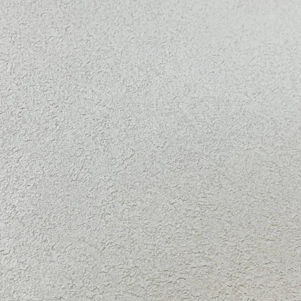 Alessandro Allori Bodega 2409-2