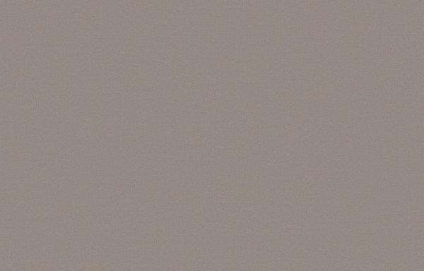 Loymina Equator QTR8 008