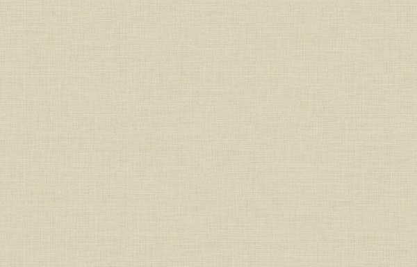 Loymina Shade SDR4 005