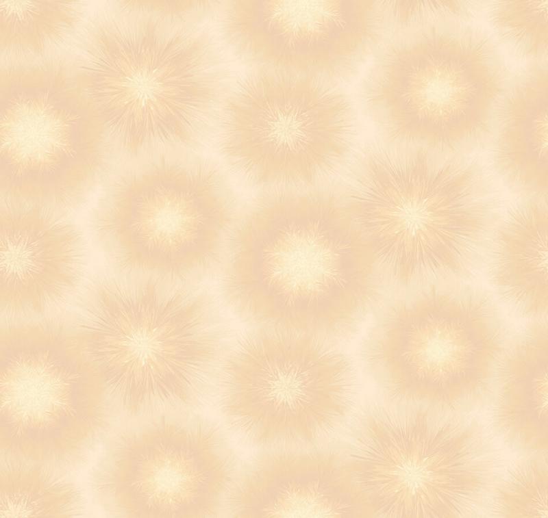 Loymina Timeless TS1 003