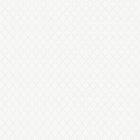 Andrea Rossi Gallinara 54315-1