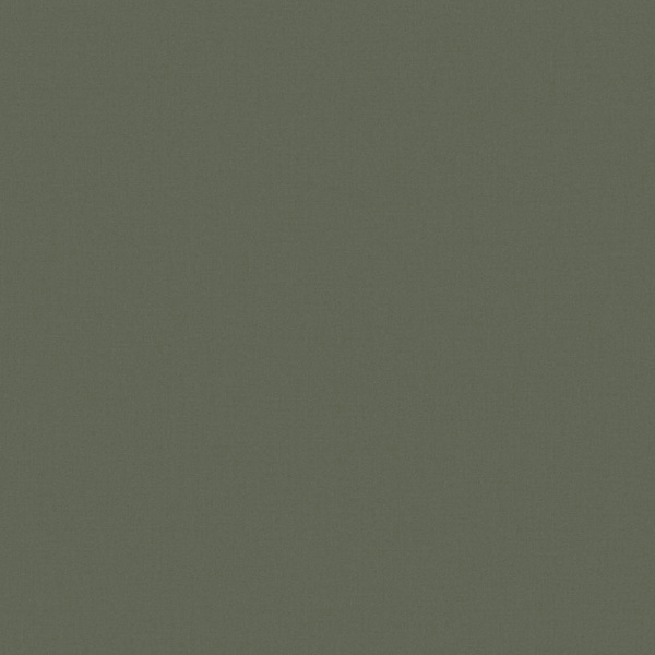 Loymina Денди KN 7005/1