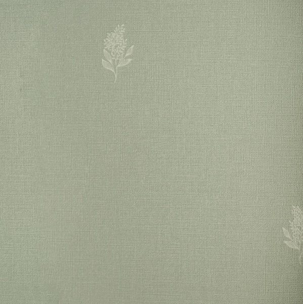 Andrea Rossi Palmaria 54462-3